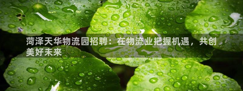 28圈链接是什么：菏泽天华物流园招聘