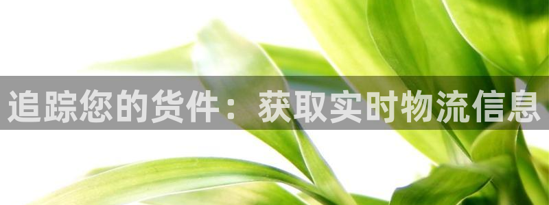 28圈PG电子游戏：追踪您的货件：获