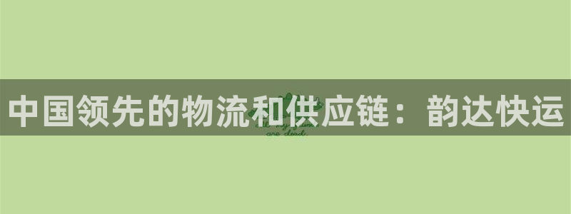 28圈网赌有什么风险