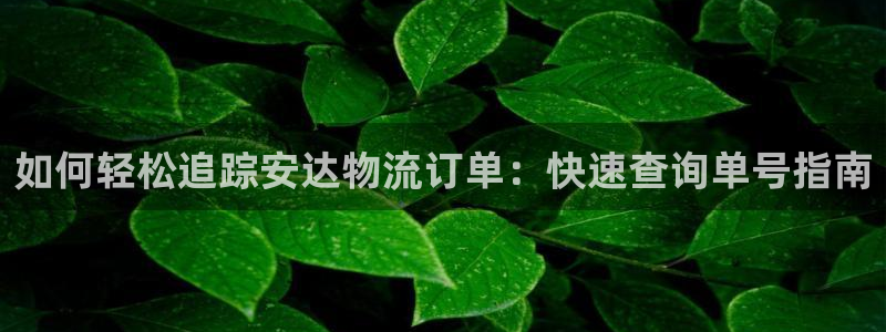 28圈是什么软件