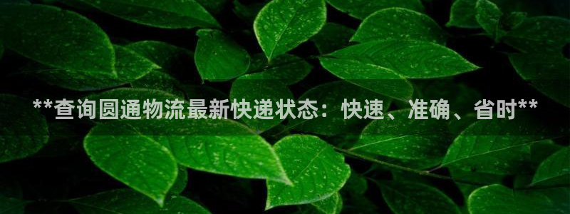 28圈是啥：**查询圆通物流最新快递