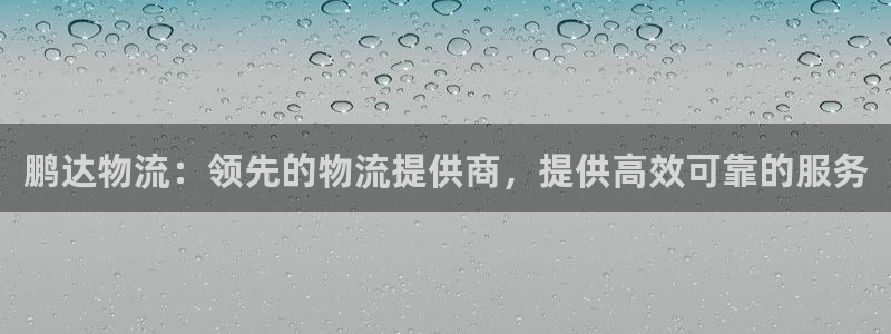 28圈p扣除是什么意思：鹏达物流：领