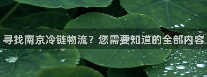 28圈免费充钱：寻找南京冷链物流？您